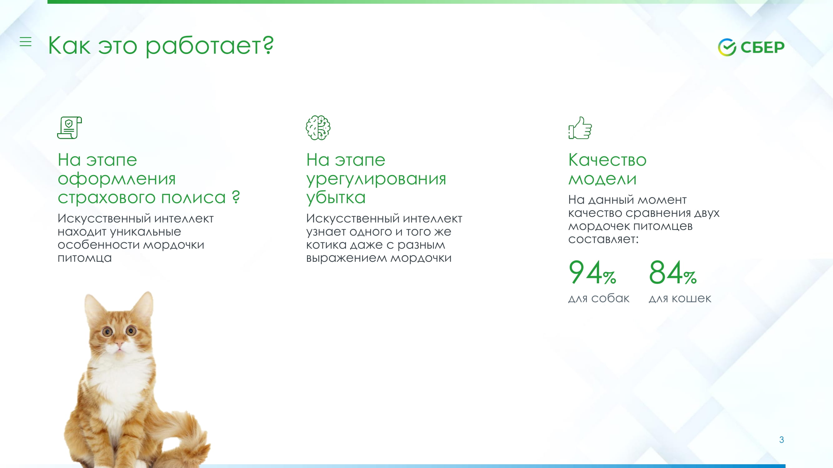 Применение AI-модели в страховом продукте «Питомец под защитой» в мобильном  приложении Сбербанк Онлайн - MessageGuru