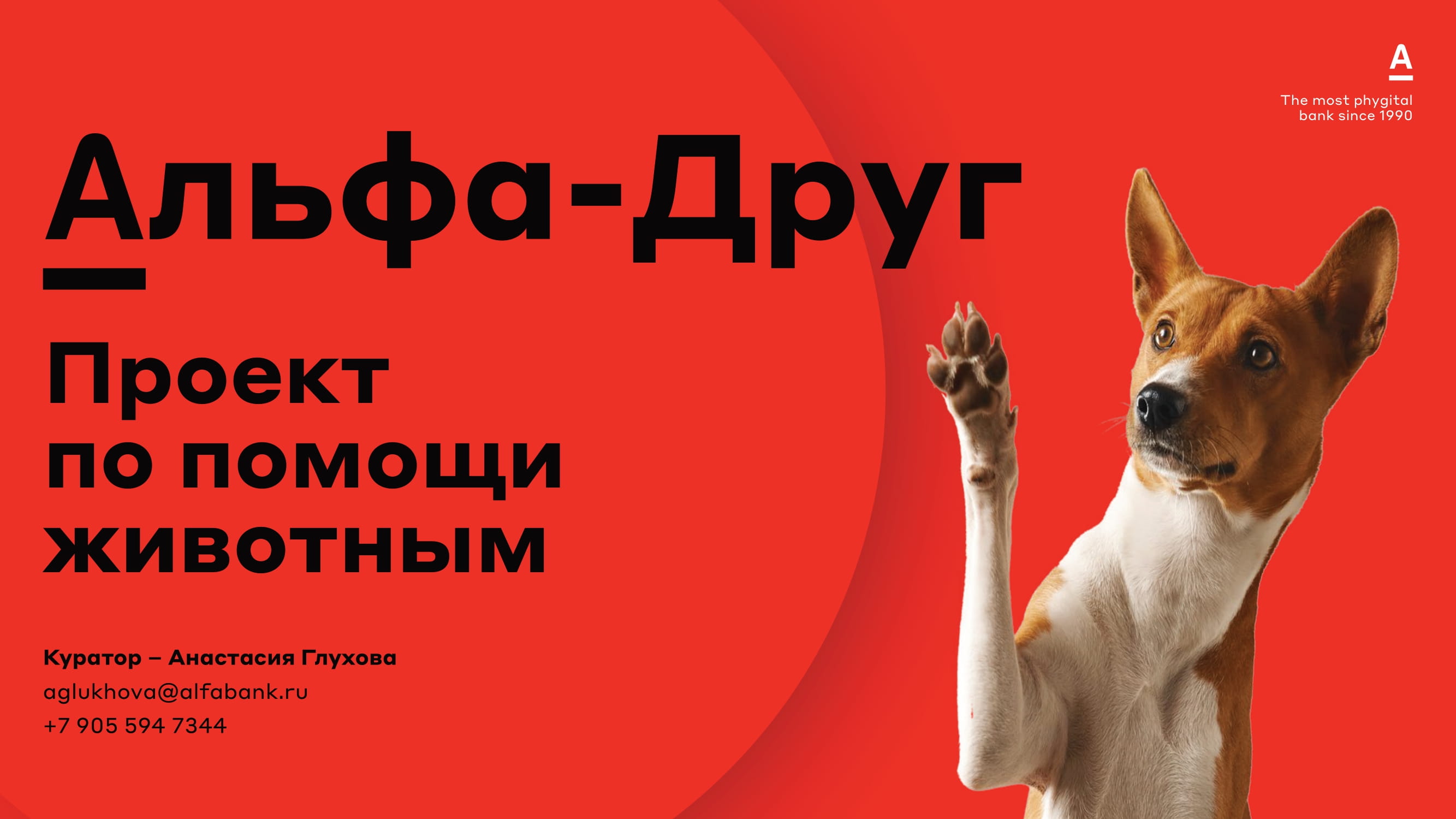 Pet-friendly банк - MessageGuru