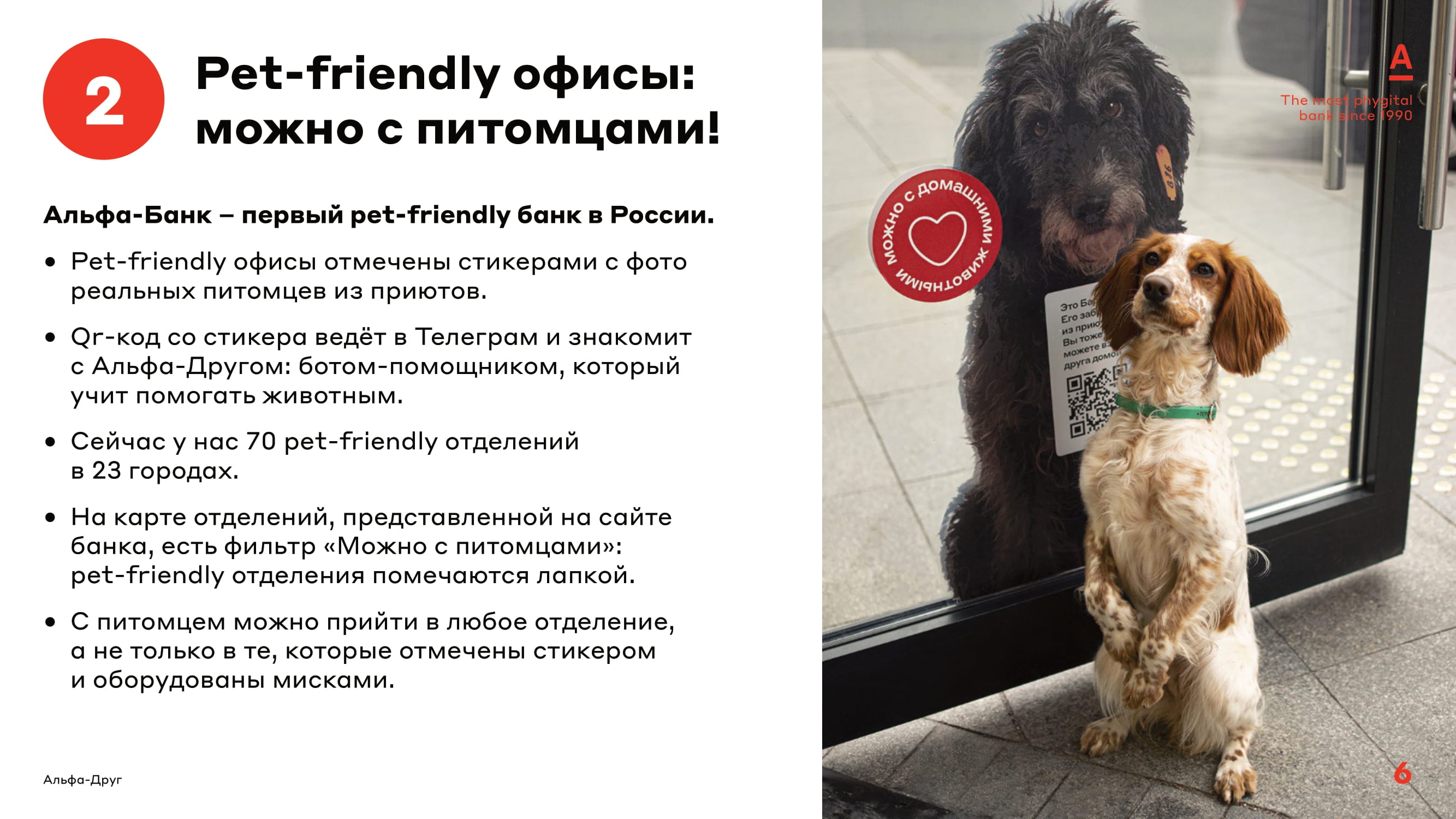 Pet-friendly банк - MessageGuru