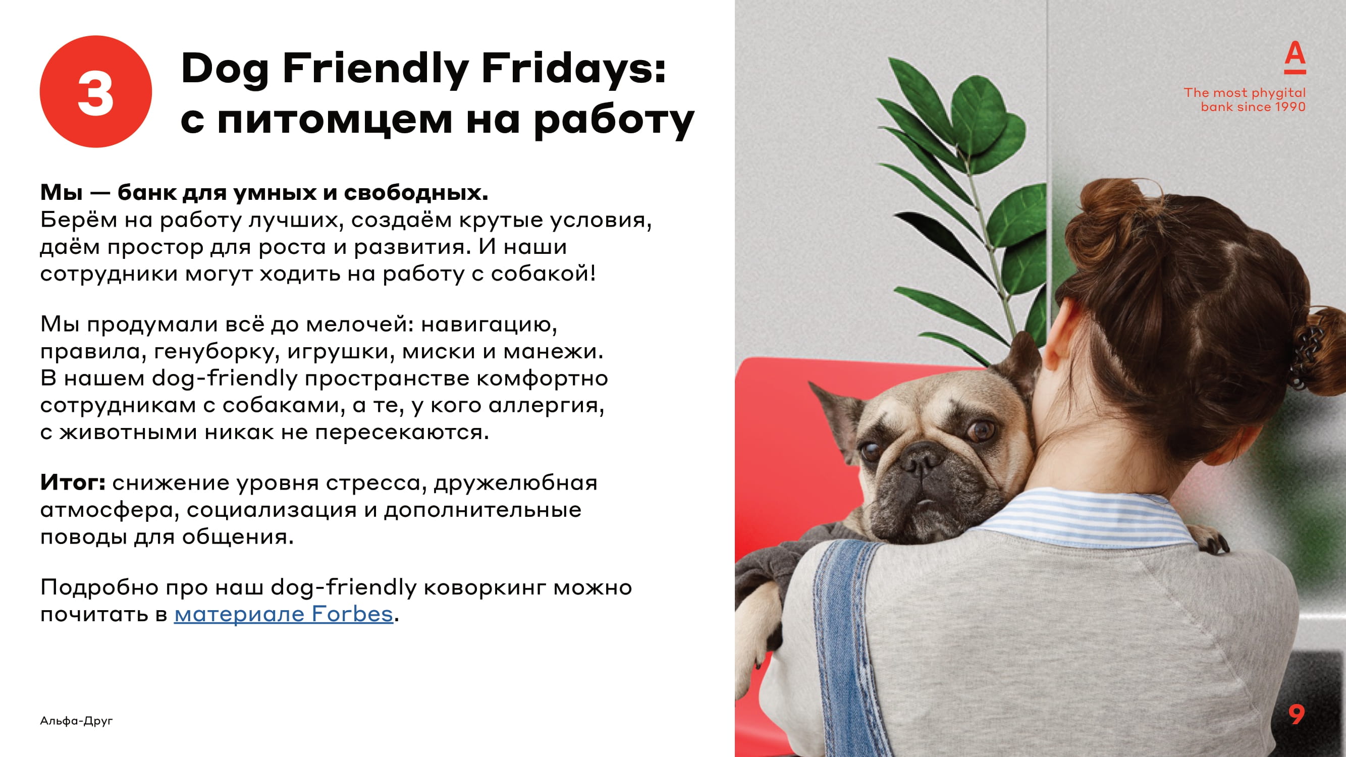 Pet-friendly банк - MessageGuru