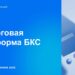 thumbnail of Диалоговая платформа БКС_2025