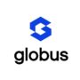 Рисунок профиля (Globus IT)
